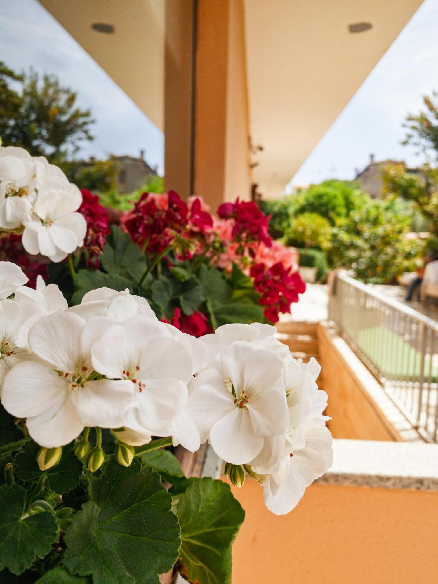 Hotel Donatella Posada  Εξωτερικό φωτογραφία